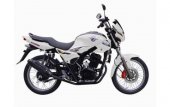 2011 Tiger Bulldog 150 photo